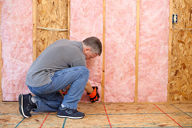 Best Energy Efficiency Solutions in Richmond Hill, GA