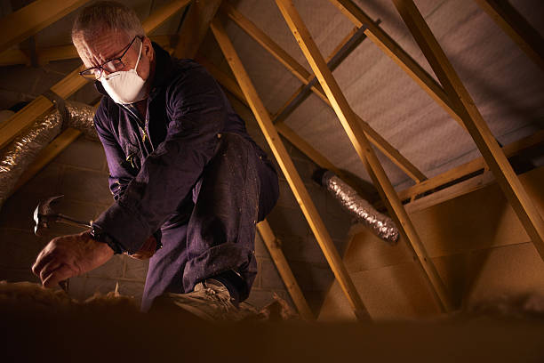 Best Insulation Installation Services in Richmond Hill, GA