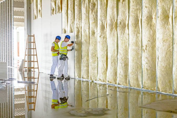 Best Insulation Materials and Products in Richmond Hill, GA